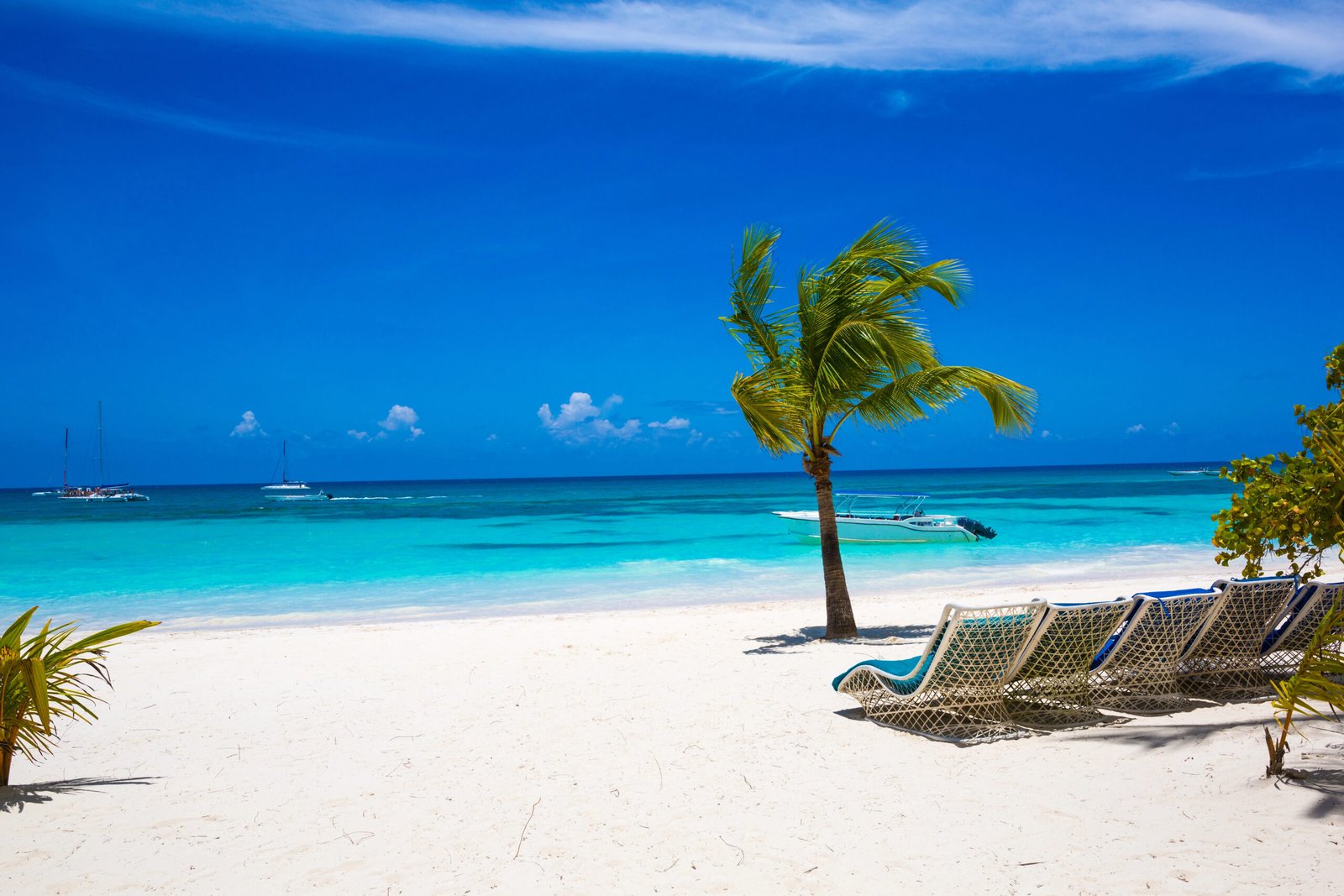 A quiet white-sand beach with a single palm tree, empty lounge chairs, and calm turquoise water, with sailboats on the horizon.